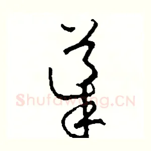 導