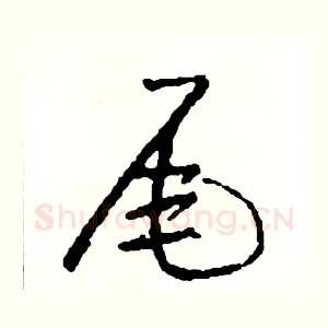 尾