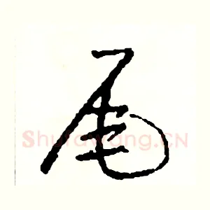 尾