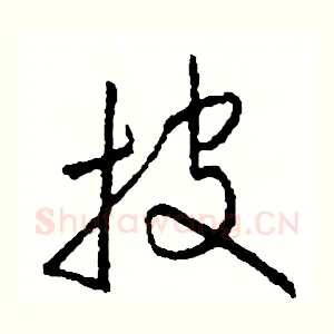 披