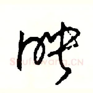 映