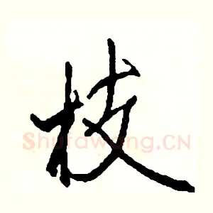 枝
