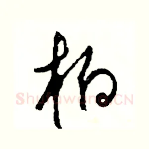柏
