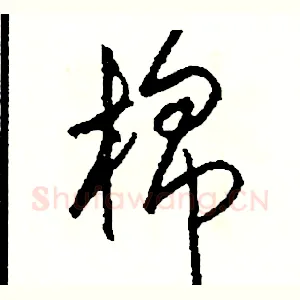 棉
