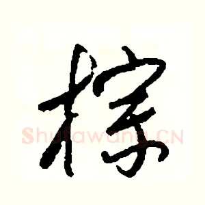 棕