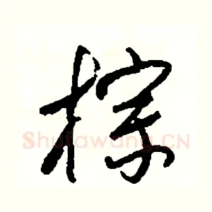 棕