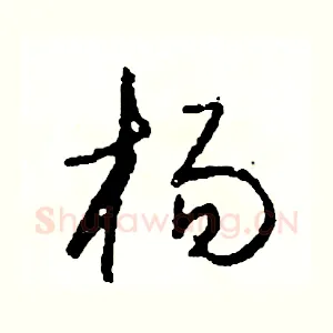 楊