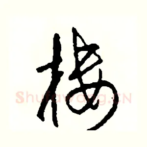 樓
