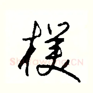 樸