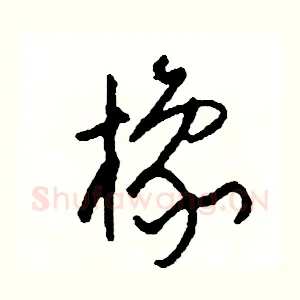 橡