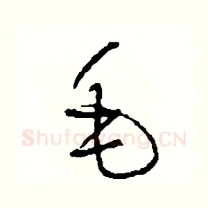 毛