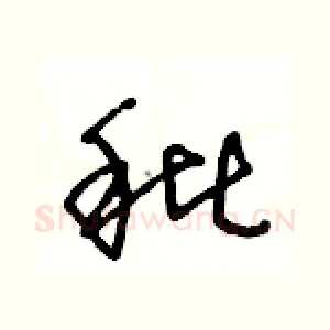 秕