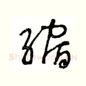 縮