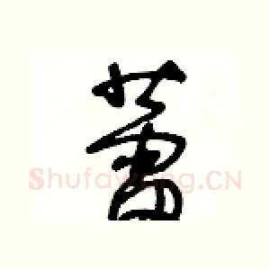 蕾