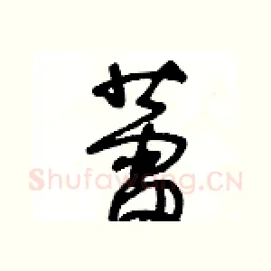 蕾