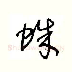 蛛