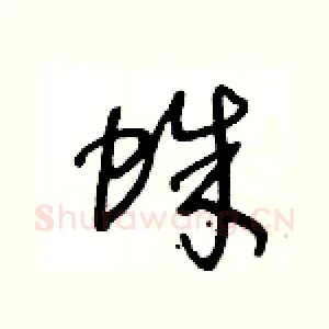 蛛