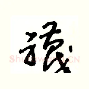襪