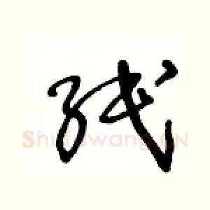 纸