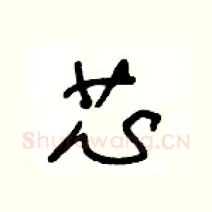 芯