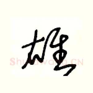 雄