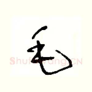 毛