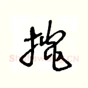 掞