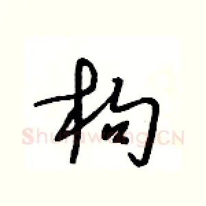 枸