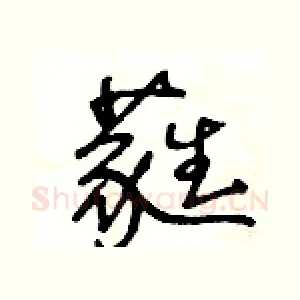 蕤