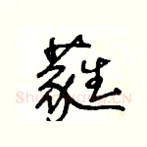 蕤