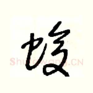 蝮