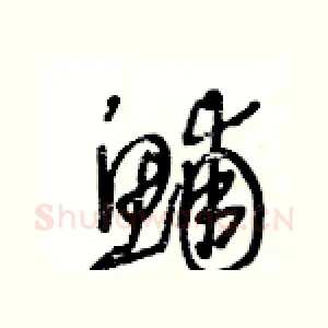 鯆