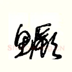 鱖