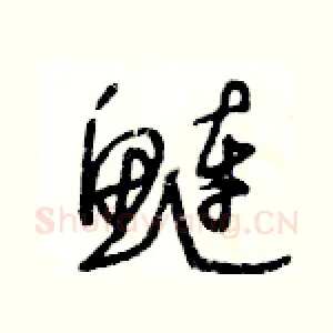 鲢