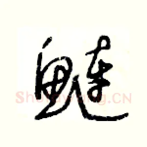 鲢