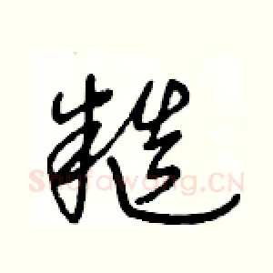 糙