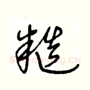糙