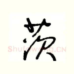 茨