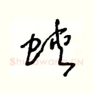 蛺