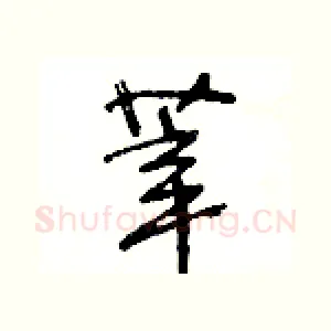 莘