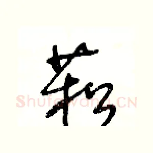 菘