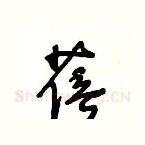 蓓