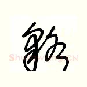 貉