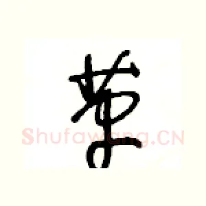 革