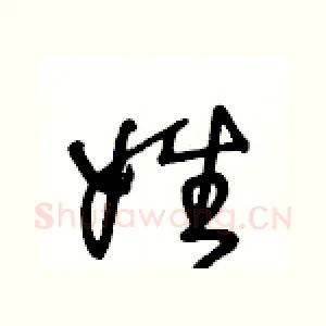 姓