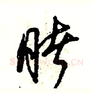 睹