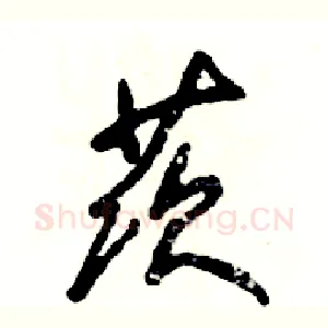 茨