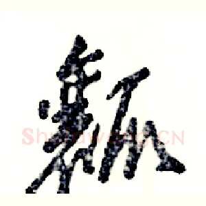 瓤
