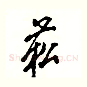 菘
