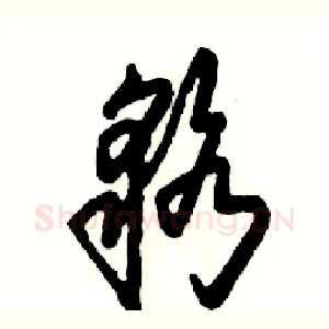貉